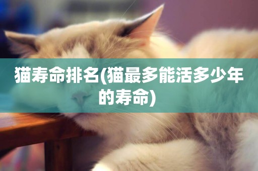 貓壽命排名(貓最多能活多少年的壽命) 