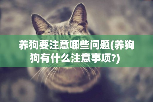 養狗要注意哪些問題(養狗狗有什么注意事項?) 