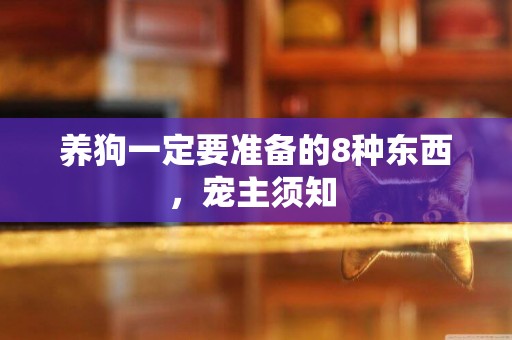 養狗一定要準備的8種東西，寵主須知 