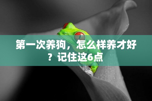 第一次養狗，怎么樣養才好？記住這6點 