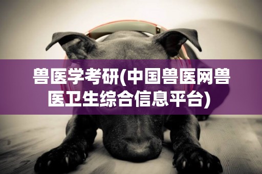 獸醫學考研(中國獸醫網獸醫衛生綜合信息平臺) 