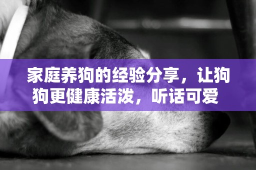 家庭養狗的經驗分享，讓狗狗更健康活潑，聽話可愛 