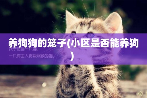 養狗狗的籠子(小區是否能養狗) 