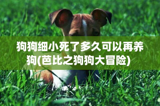 狗狗細小死了多久可以再養狗(芭比之狗狗大冒險) 