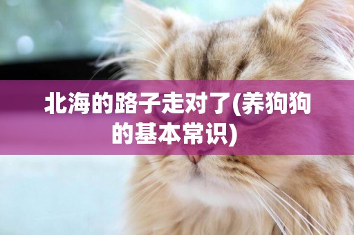 北海的路子走對了(養狗狗的基本常識) 