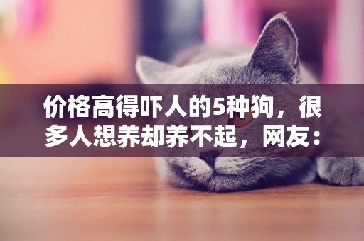 價格高得嚇人的5種狗，很多人想養卻養不起，網友：羨慕土豪 