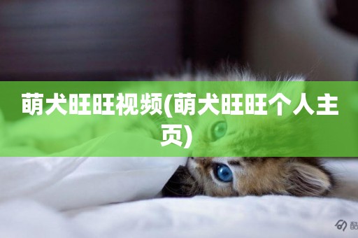萌犬旺旺視頻(萌犬旺旺個人主頁) 