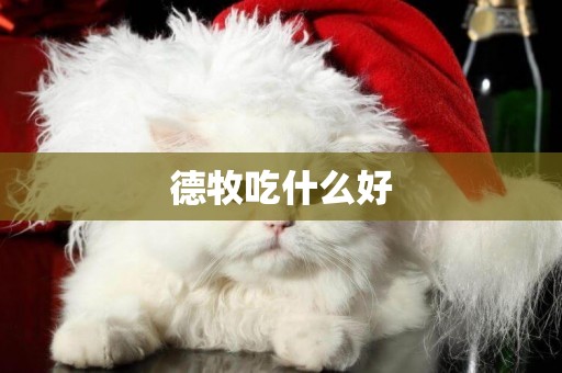 德牧吃什么好