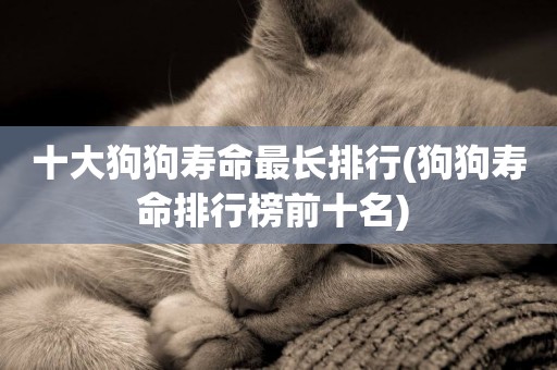 十大狗狗壽命最長排行(狗狗壽命排行榜前十名) 