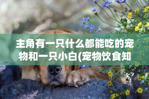 主角有一只什么都能吃的寵物和一只小白(寵物飲食知識科普) 