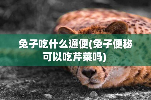兔子吃什么通便(兔子便秘可以吃芹菜嗎) 
