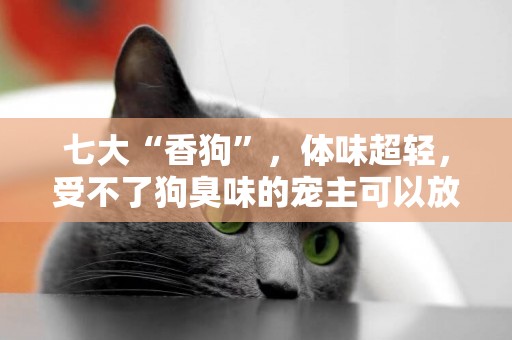 七大“香狗”，體味超輕，受不了狗臭味的寵主可以放心養 