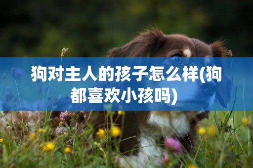 狗對主人的孩子怎么樣(狗都喜歡小孩嗎) 