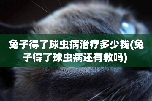 兔子得了球蟲病治療多少錢(兔子得了球蟲病還有救嗎) 