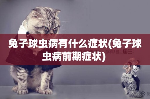 兔子球蟲病有什么癥狀(兔子球蟲病前期癥狀) 