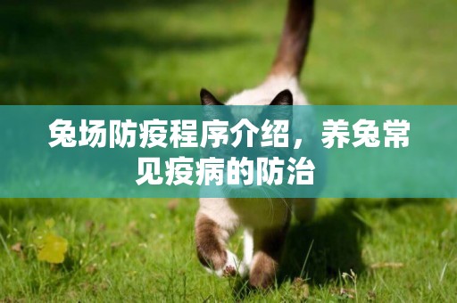 兔場防疫程序介紹，養兔常見疫病的防治 