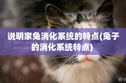 說明家兔消化系統的特點(兔子的消化系統特點) 