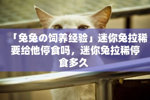 「兔兔の飼養經驗」迷你兔拉稀要給他停食嗎，迷你兔拉稀停食多久 