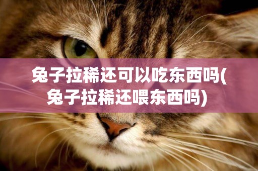 兔子拉稀還可以吃東西嗎(兔子拉稀還喂東西嗎) 