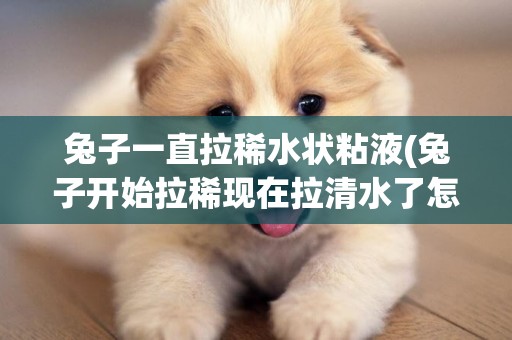 兔子一直拉稀水狀粘液(兔子開始拉稀現在拉清水了怎么辦) 