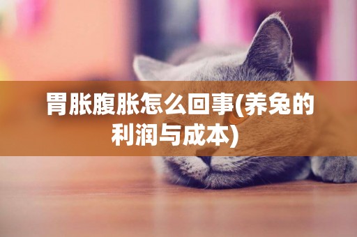 胃脹腹脹怎么回事(養兔的利潤與成本) 