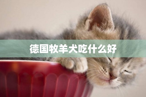 德國牧羊犬吃什么好