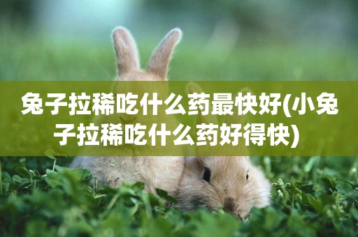 兔子拉稀吃什么藥最快好(小兔子拉稀吃什么藥好得快) 