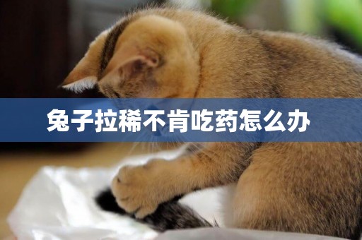 兔子拉稀不肯吃藥怎么辦 