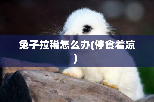 兔子拉稀怎么辦(停食著涼) 