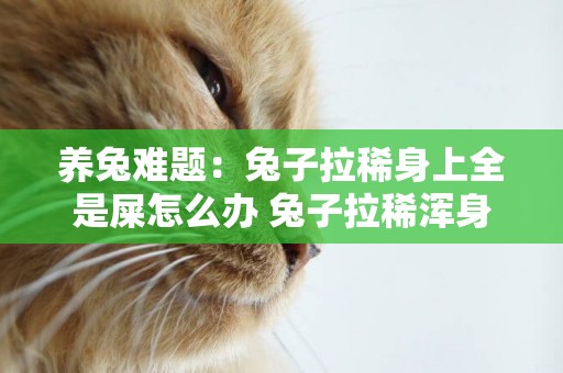 養兔難題：兔子拉稀身上全是屎怎么辦 兔子拉稀渾身沾屎 