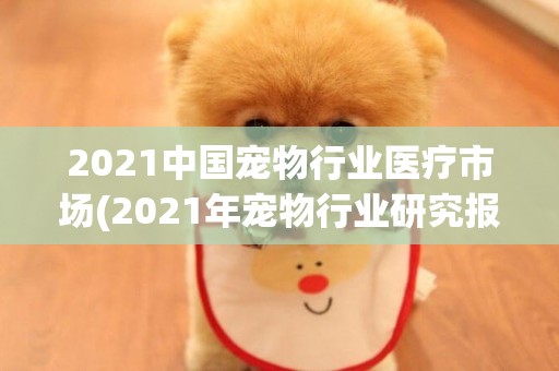 2021中國寵物行業醫療市場(2021年寵物行業研究報告) 
