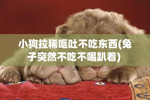 小狗拉稀嘔吐不吃東西(兔子突然不吃不喝趴著) 