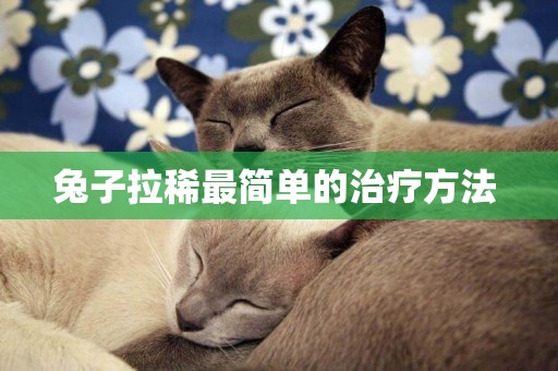 兔子拉稀最簡單的治療方法 