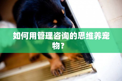 如何用管理咨詢的思維養寵物？ 