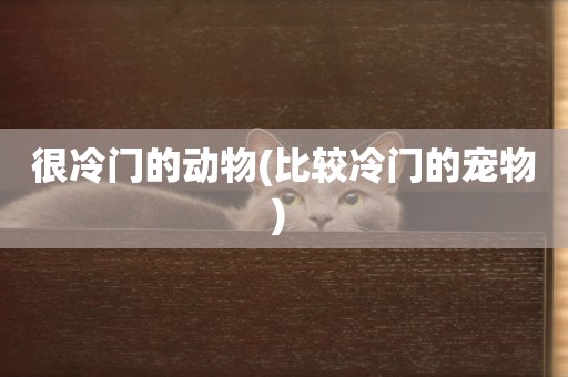 很冷門的動物(比較冷門的寵物) 