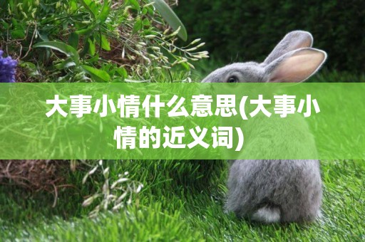 大事小情什么意思(大事小情的近義詞) 