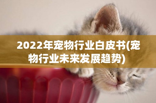 2022年寵物行業白皮書(寵物行業未來發展趨勢) 