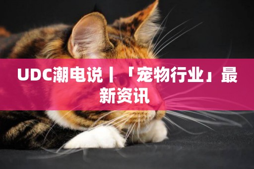 UDC潮電說丨「寵物行業」最新資訊 