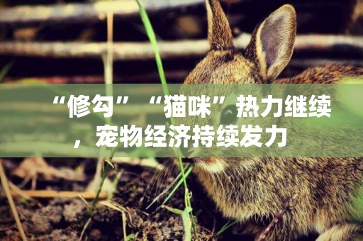 “修勾”“貓咪”熱力繼續，寵物經濟持續發力 