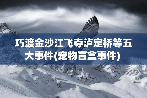 巧渡金沙江飛奪瀘定橋等五大事件(寵物盲盒事件) 