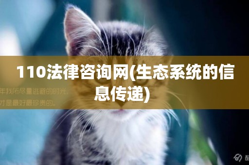 110法律咨詢網(生態系統的信息傳遞) 