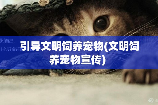 引導文明飼養寵物(文明飼養寵物宣傳) 