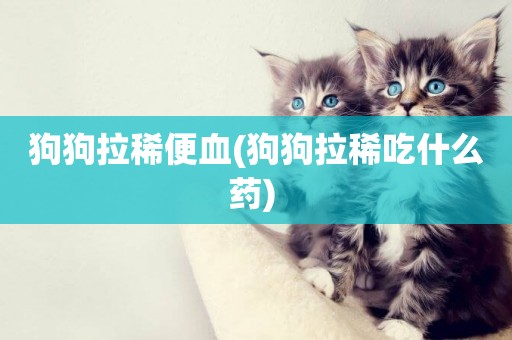狗狗拉稀便血(狗狗拉稀吃什么藥) 