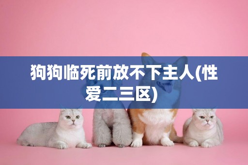 狗狗臨死前放不下主人(性愛二三區) 