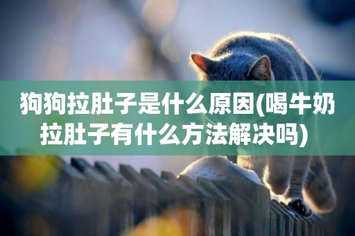 狗狗拉肚子是什么原因(喝牛奶拉肚子有什么方法解決嗎) 