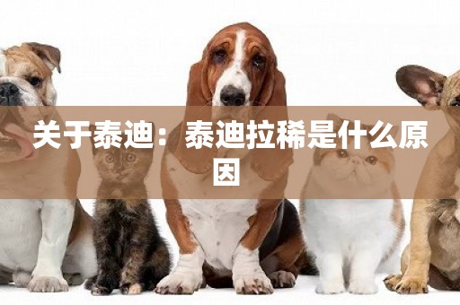 關于泰迪：泰迪拉稀是什么原因 