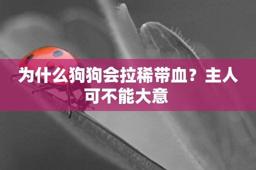 為什么狗狗會拉稀帶血？主人可不能大意 