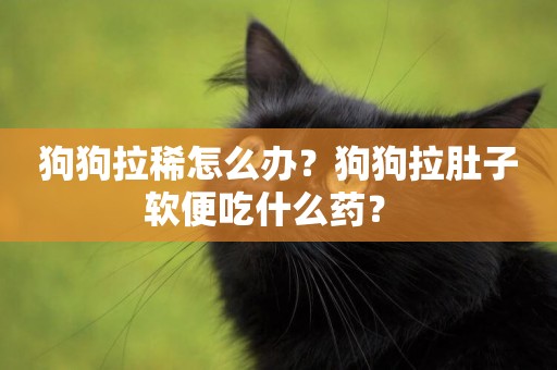 狗狗拉稀怎么辦？狗狗拉肚子軟便吃什么藥？ 