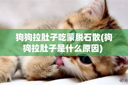 狗狗拉肚子吃蒙脫石散(狗狗拉肚子是什么原因) 