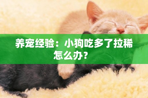 養寵經驗：小狗吃多了拉稀怎么辦？ 
